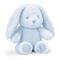 Baby Boy Bunny 25cm