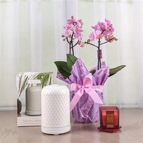 Orchid Diffuser &amp; Candle