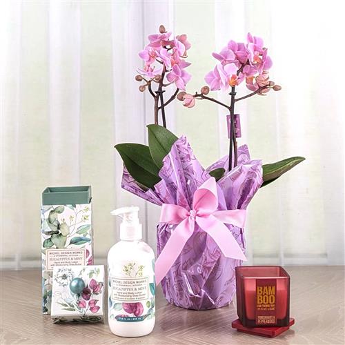 Orchid Lotion &amp; Candle