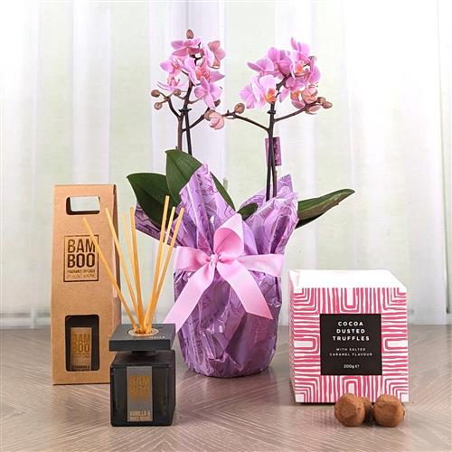 Orchid Reed Diffuser &amp; Chocs