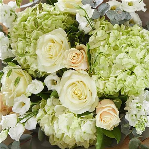  Mothers Day Neutral BQ