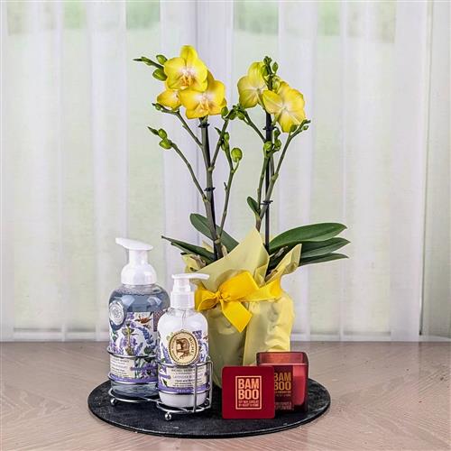 Orchid Handcare Caddy &amp; Candle