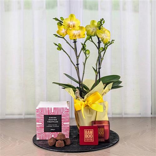 An Orchid Chocs &amp; Candle