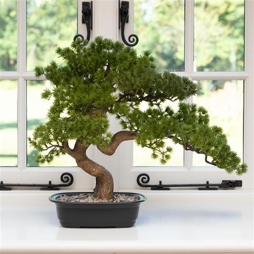 Faux Pine Bonsai Tree 44cm