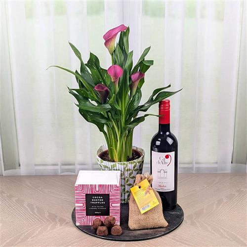  A Father's Day Bundle