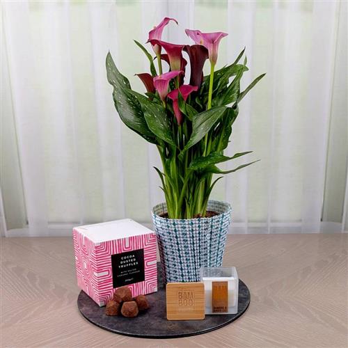 A Calla Lily Gift Set