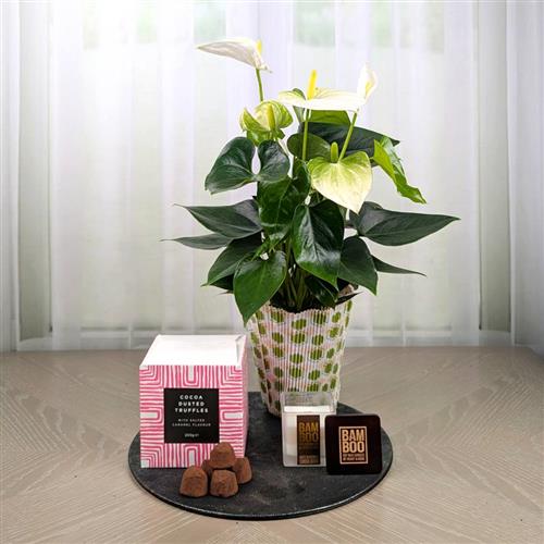 White Anthurium Candle &amp; Chocs