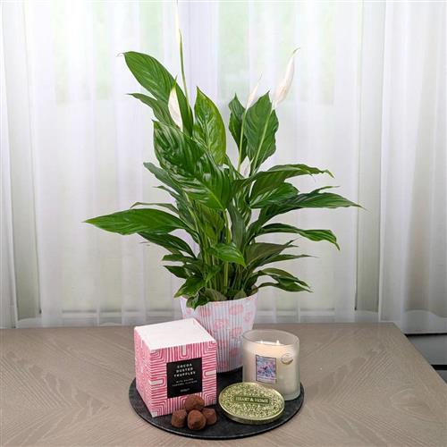 A Peace Lily Candle &amp; Chocs