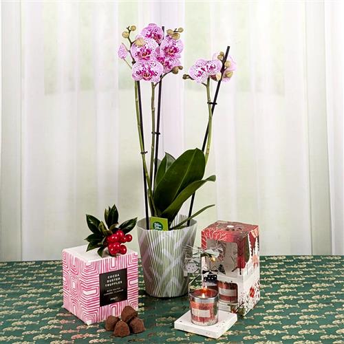 Xmas Orchid Spinner &amp; Candle