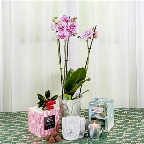 Xmas Orchid Candle Socks &amp; Chocs