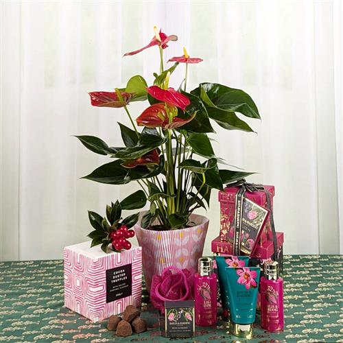 Xmas Antherium Pamper Set &amp; Chocs