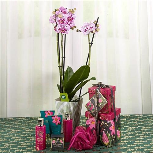 An Orchid &amp; Pamper Gift Set