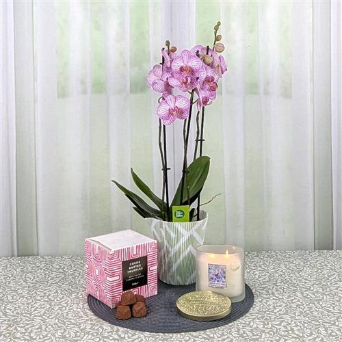 Orchid 2 Wick Candle &amp; Chocs