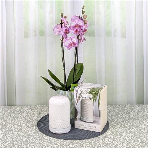 Orchid &amp; Aroma Diffuser