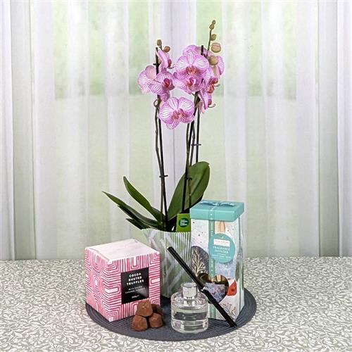 Orchid &amp; Winter Berry Diffuser