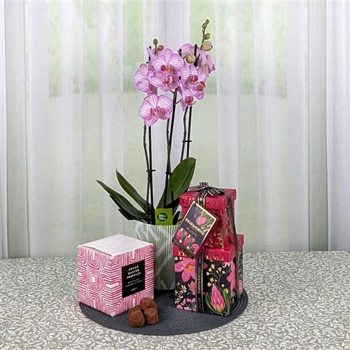 Orchid Pamper Gift Set &amp; Chocs