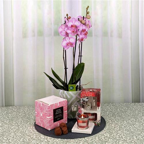 Orchid Spinner &amp; Candle &amp; Chocs