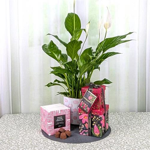 Peace Lily Pamper Set &amp; Chocs