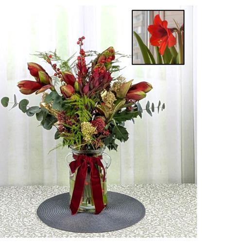 Xmas Red Amaryllis Vase