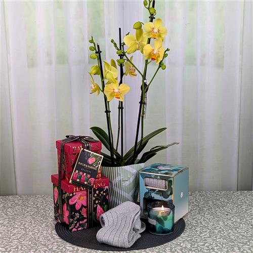 Orchid Pamper Set Candle &amp; Socks