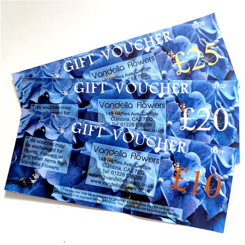 Vandella Gift Vouchers