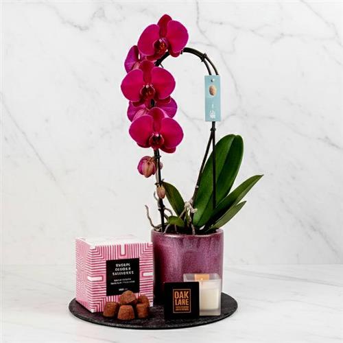 Hooped Orchid Candle &amp; Chocs