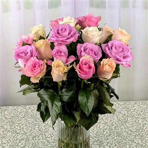 20 Pastel Passion Roses