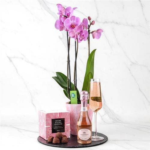 A Orchid Prosecco &amp; Chocs