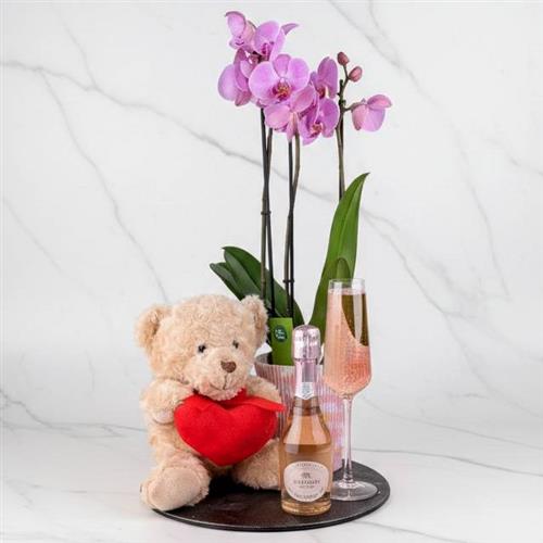 Orchid Prosecco &amp; Bear