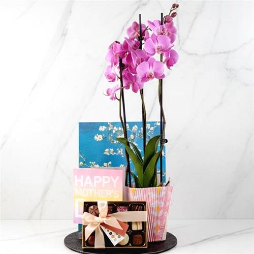 A Mothers Day Orchid Gift Bag