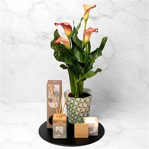 Calla Lily Diffuser &amp; Candle