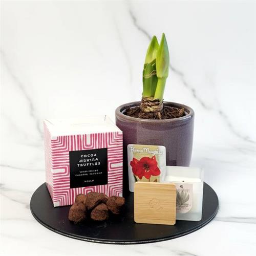 Amatylis Candle &amp; Truffles 