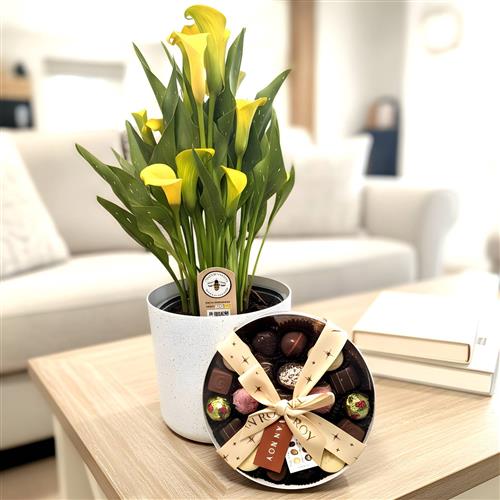 Calla Lilly &amp; Luxury Belgian Chocolates