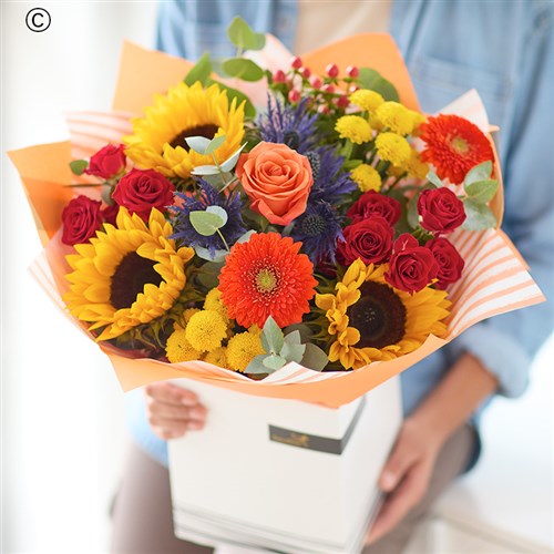 Sunflower Celebration