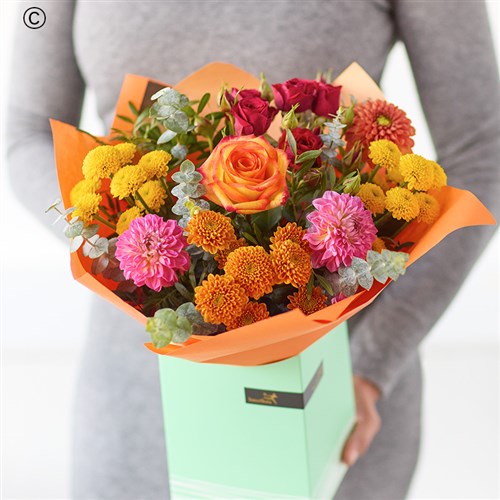 Dahlia Delight