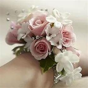 fwthumb7368fa_565663a9fd2646b587e212a5449908e3~mv2.jpg