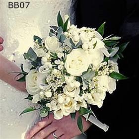 fwthumbBB071.jpg