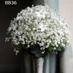 fwthumbBB361.jpg