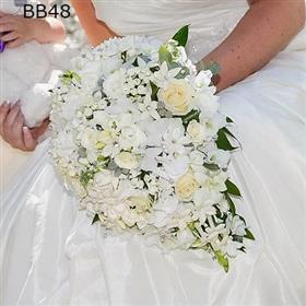 fwthumbBB481.jpg