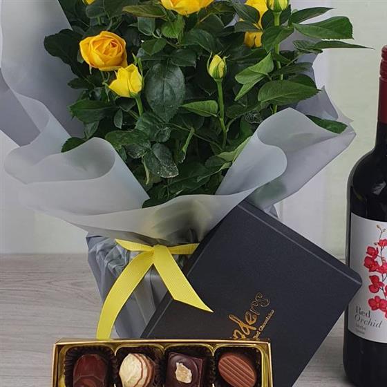 Yellow Rose Plant Gift Set